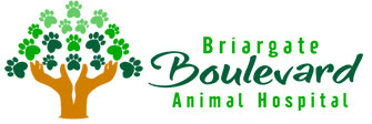 Link to Homepage of Briargate Boulevard Animal Hospital