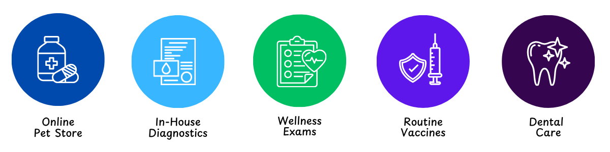 best veterinarian Colorado Springs