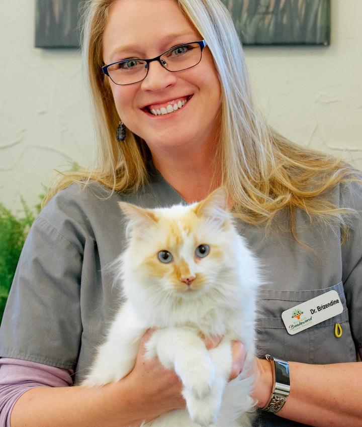 best veterinarian Colorado Springs