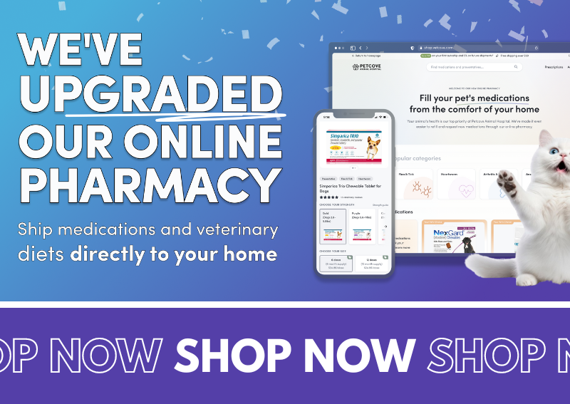 Carousel Slide 4: Check out our new and improved online pet pharmacy