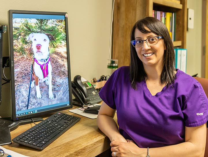 Colorado Springs Veterinary Careers