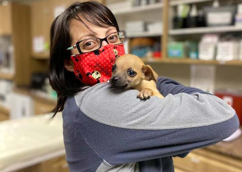 Briargate Boulevard Animal Hospital Colorado Springs veterinarians